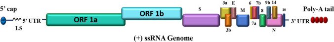 Fig. 1