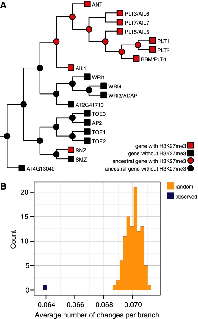 Fig. 2.—