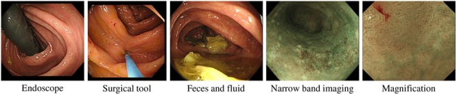 Fig. 3