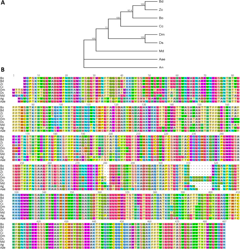 Fig. 2