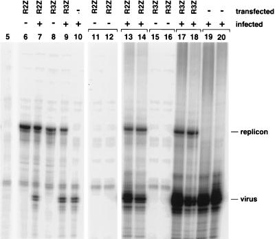 FIG. 3