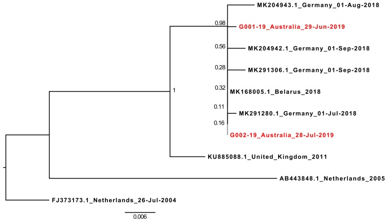 Figure 2