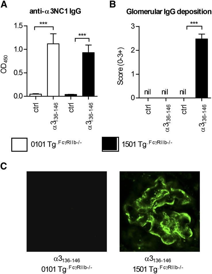 Figure 10.