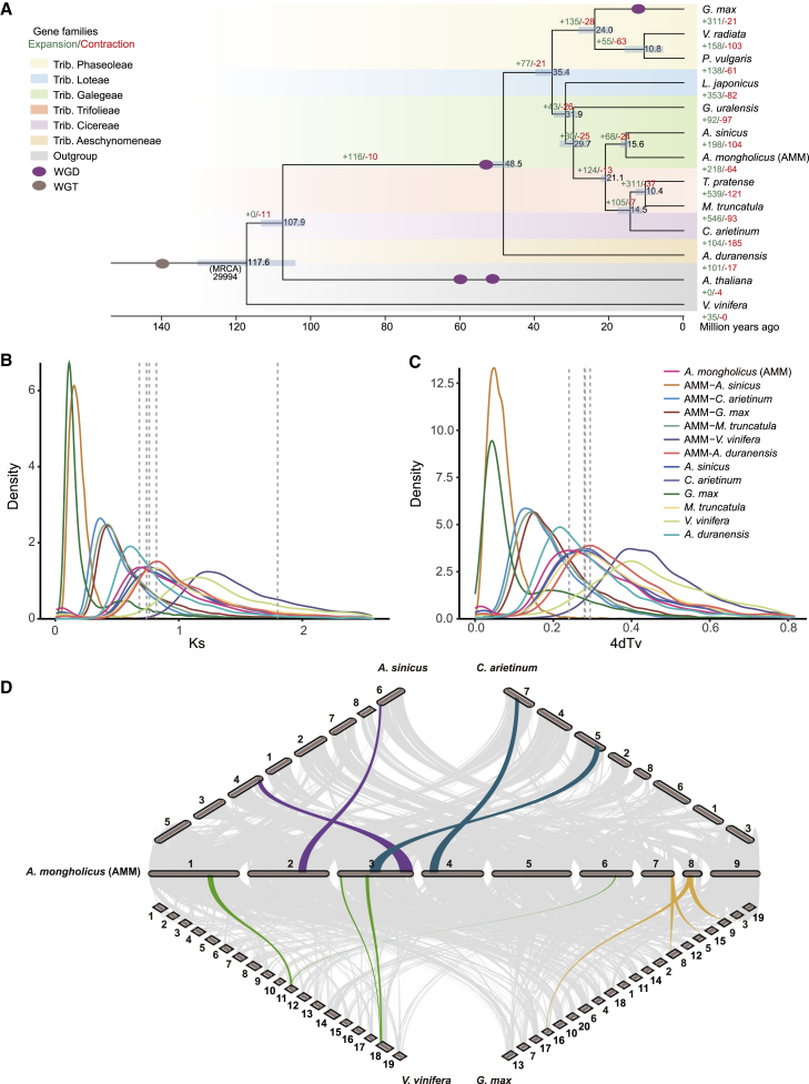 Figure 2