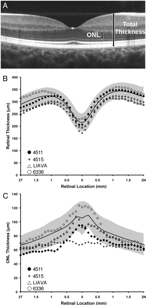 Fig. 3.