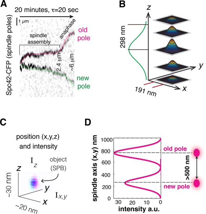 FIGURE 4: