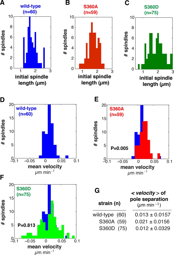 FIGURE 6: