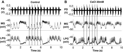 Fig. 10.