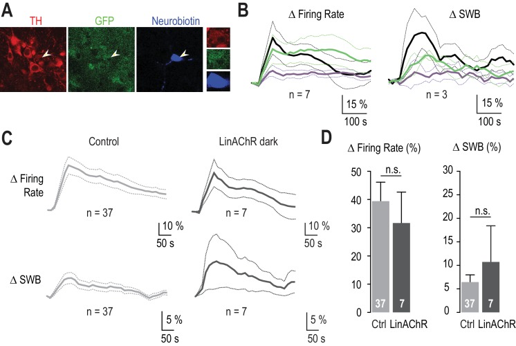 Figure 4—figure supplement 1.