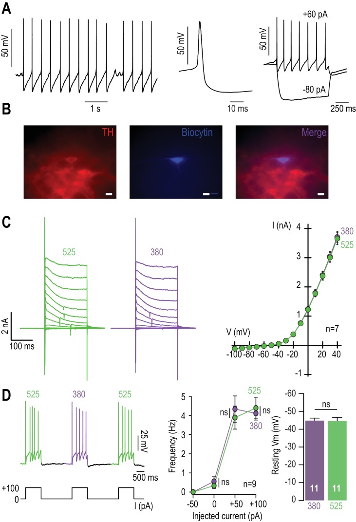 Figure 2—figure supplement 2.