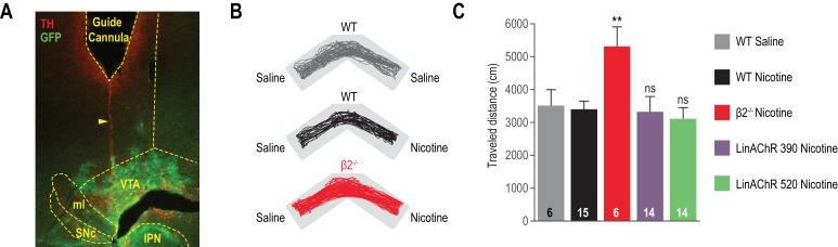 Figure 5—figure supplement 1.