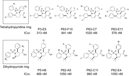 FIGURE 1.