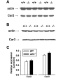Fig. 10.