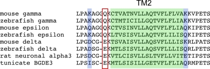 Figure 11.