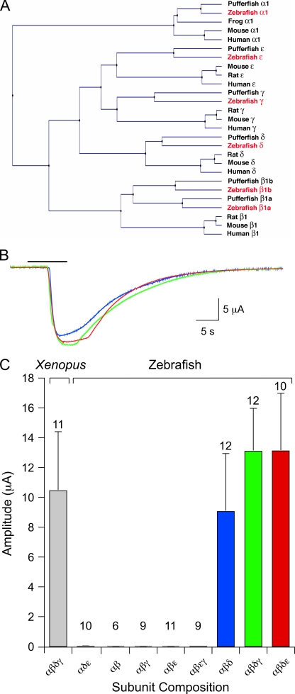 Figure 5.