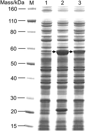 Figure 4