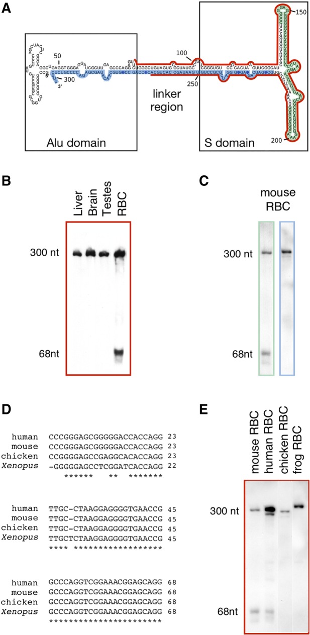 FIGURE 3.