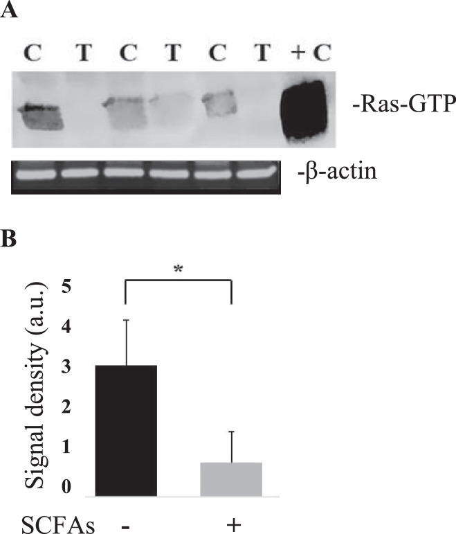 Fig 7