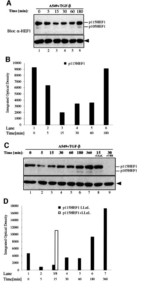 graphic file with name cdd661f6.jpg