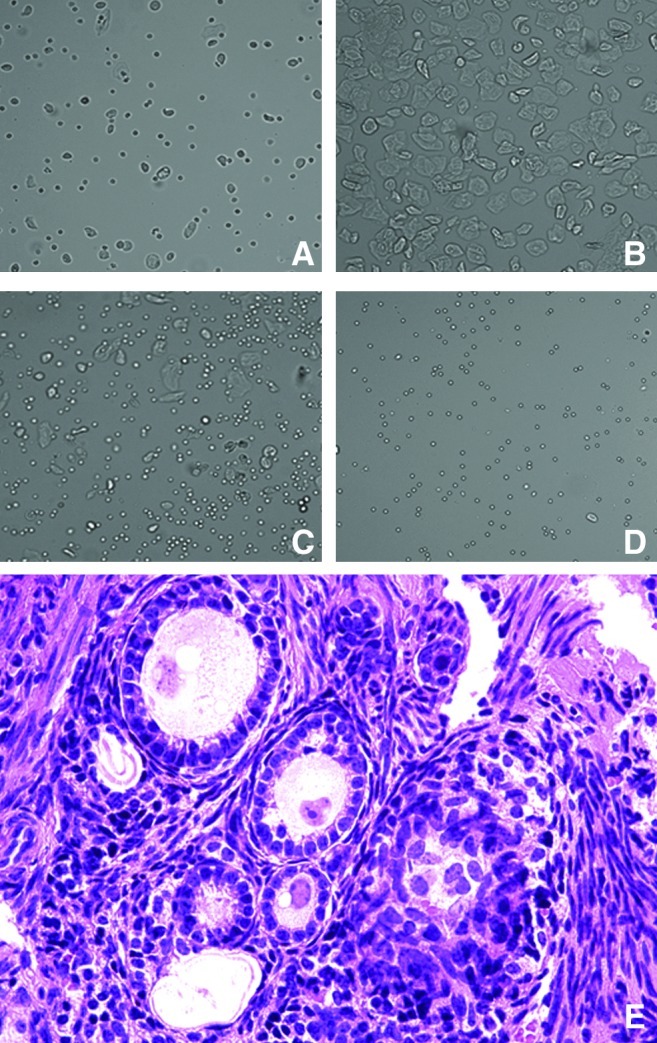 FIG. 4.