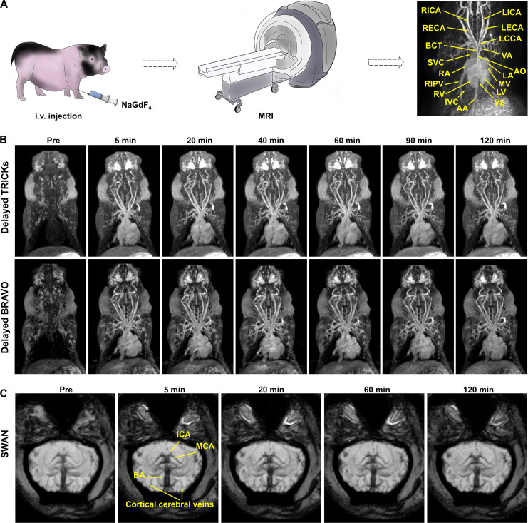 Fig. 6.