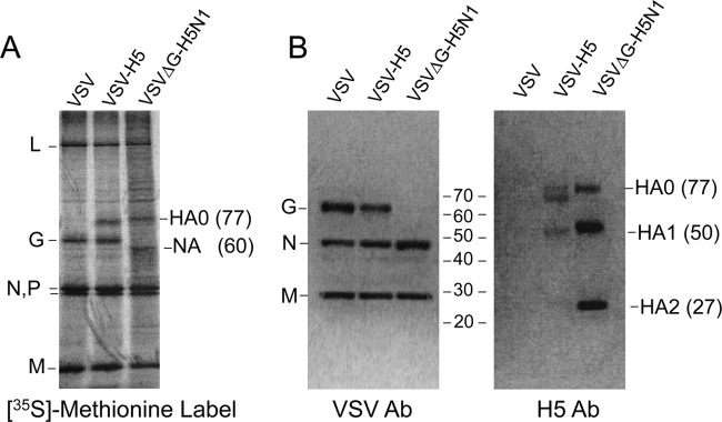 FIG 3