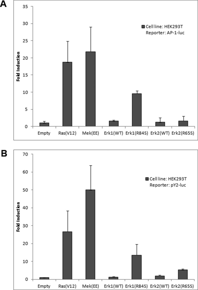 FIGURE 2: