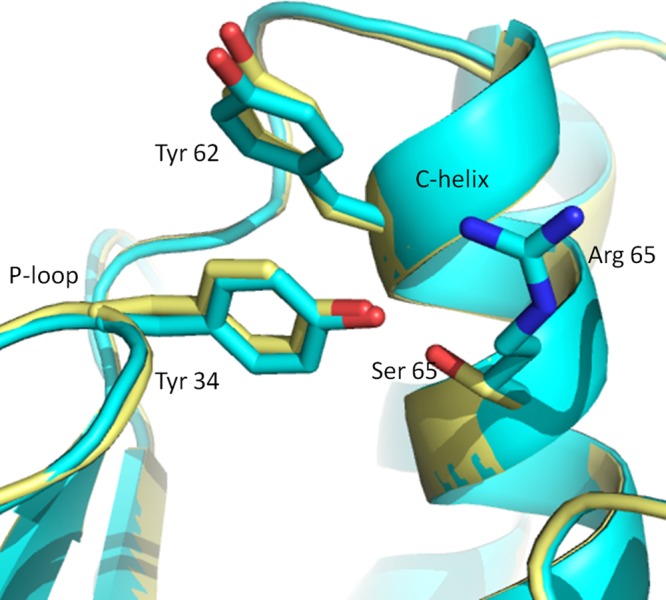 FIGURE 8: