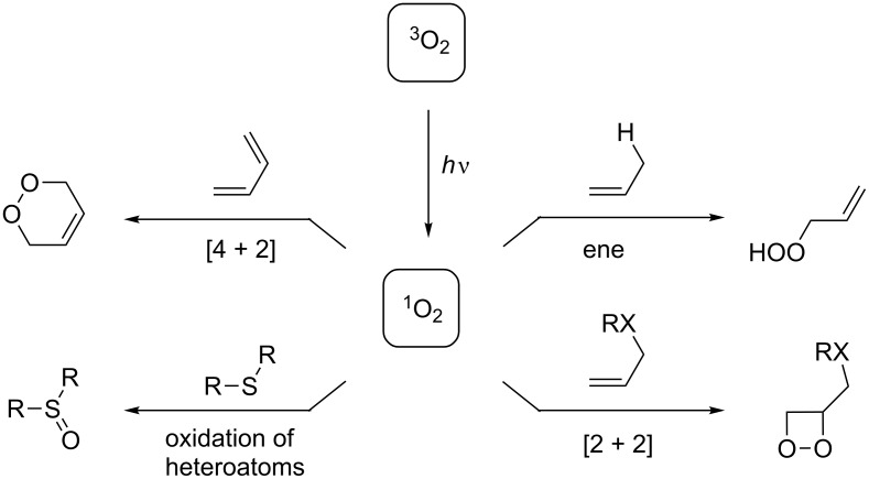 Scheme 5