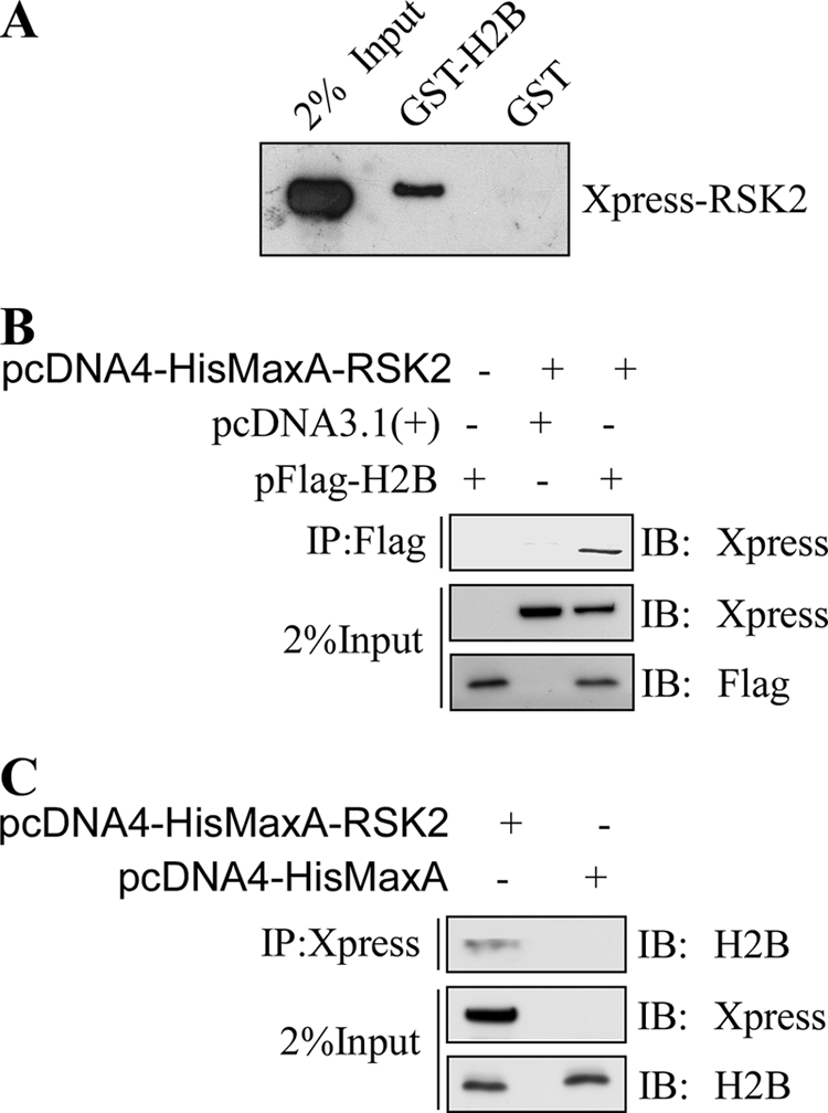 FIGURE 5.