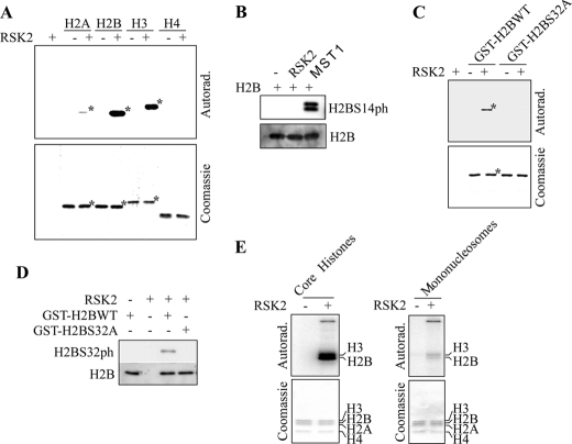 FIGURE 4.