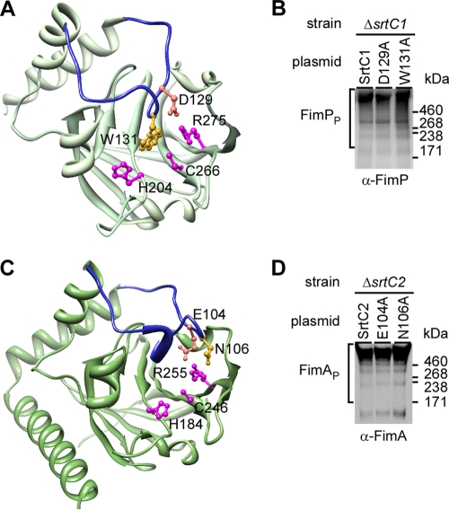 Fig 5