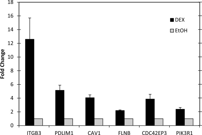 Fig. 3.