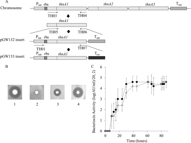 FIG 3