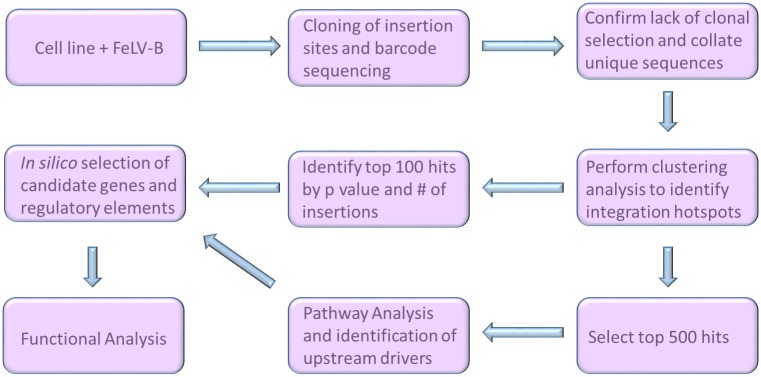 Fig 8