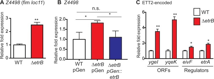 FIG 6