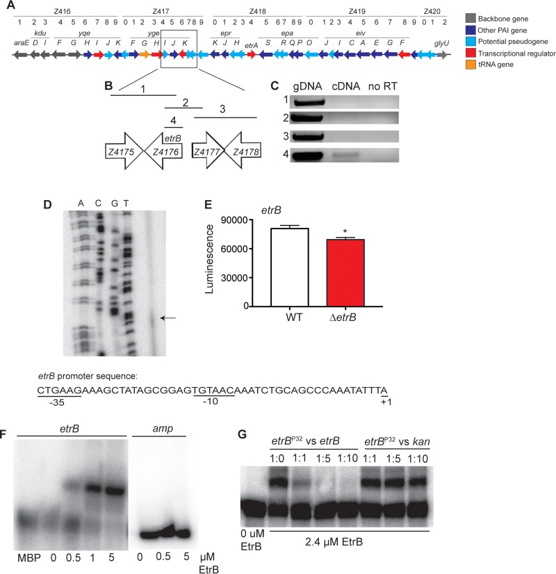 FIG 1