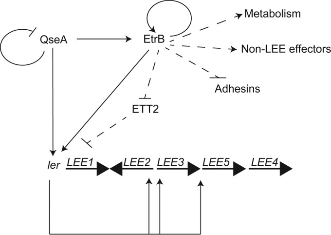 FIG 7