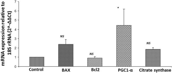 Figure 5