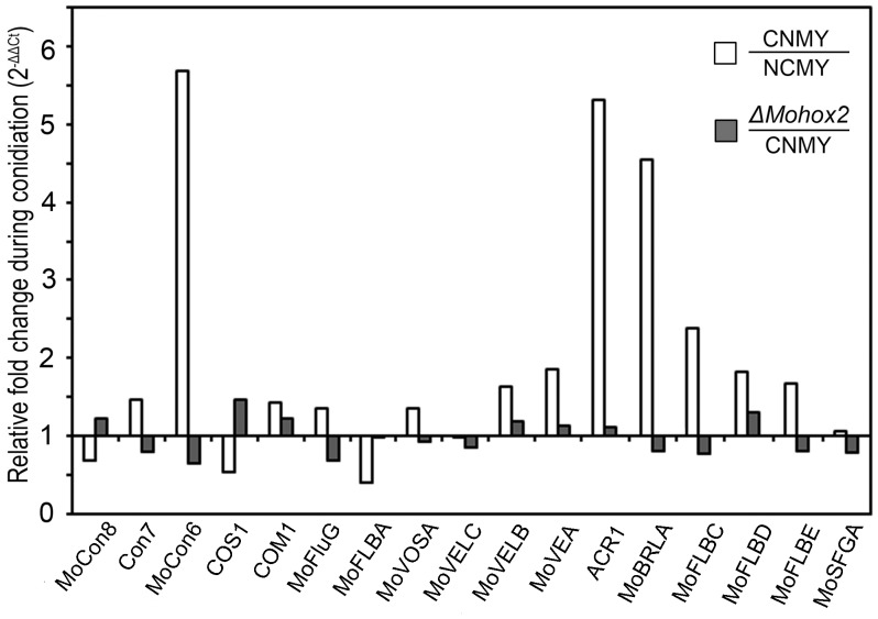 Figure 5