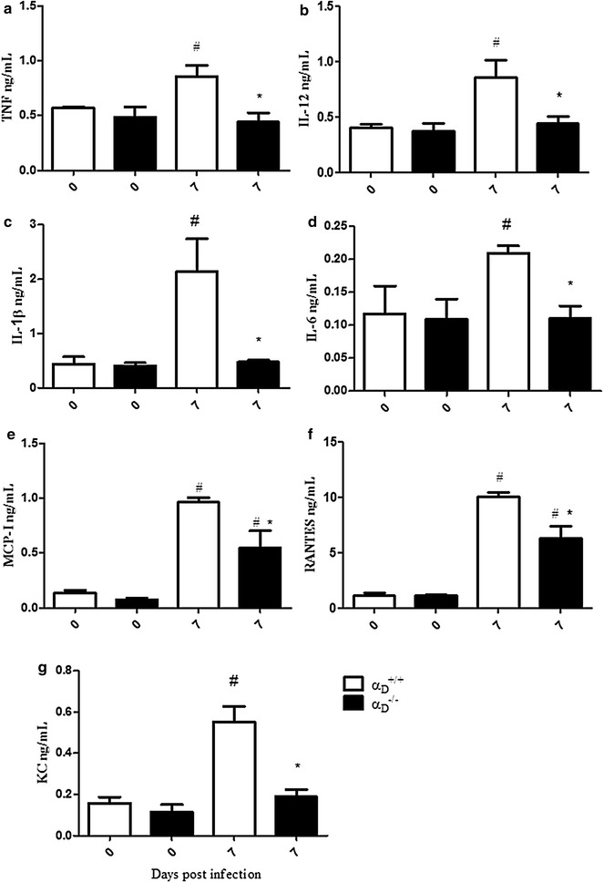 Fig. 6