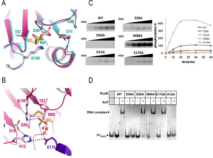 Figure 4.