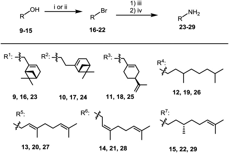 Scheme 1