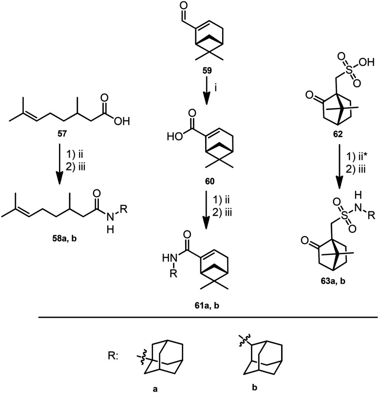 Scheme 5