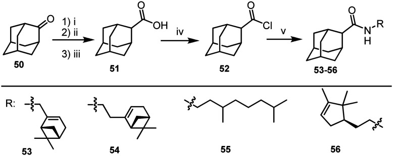 Scheme 4