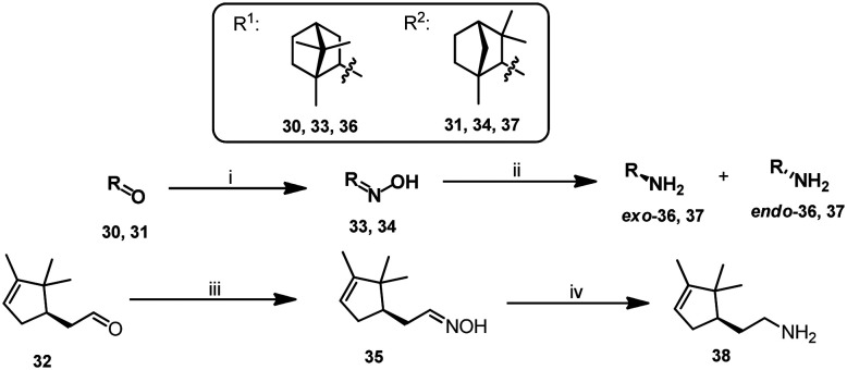 Scheme 2