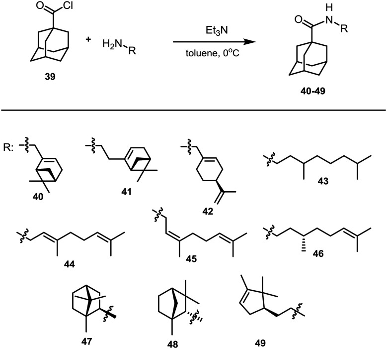 Scheme 3