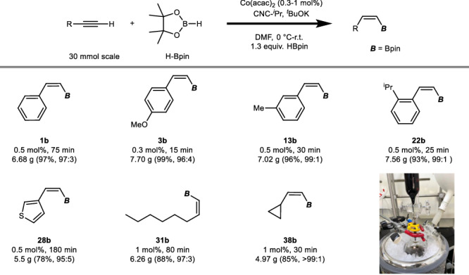 Fig. 3