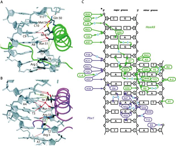 Figure 4.