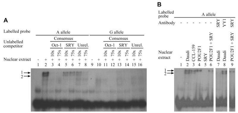 FIG 3